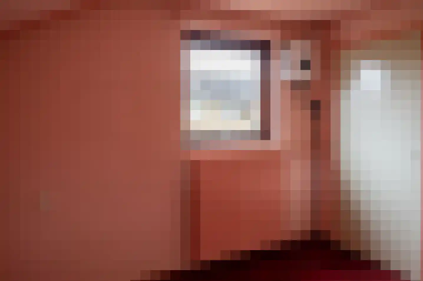 het Jebbink 49 Vorden thumbnail 27