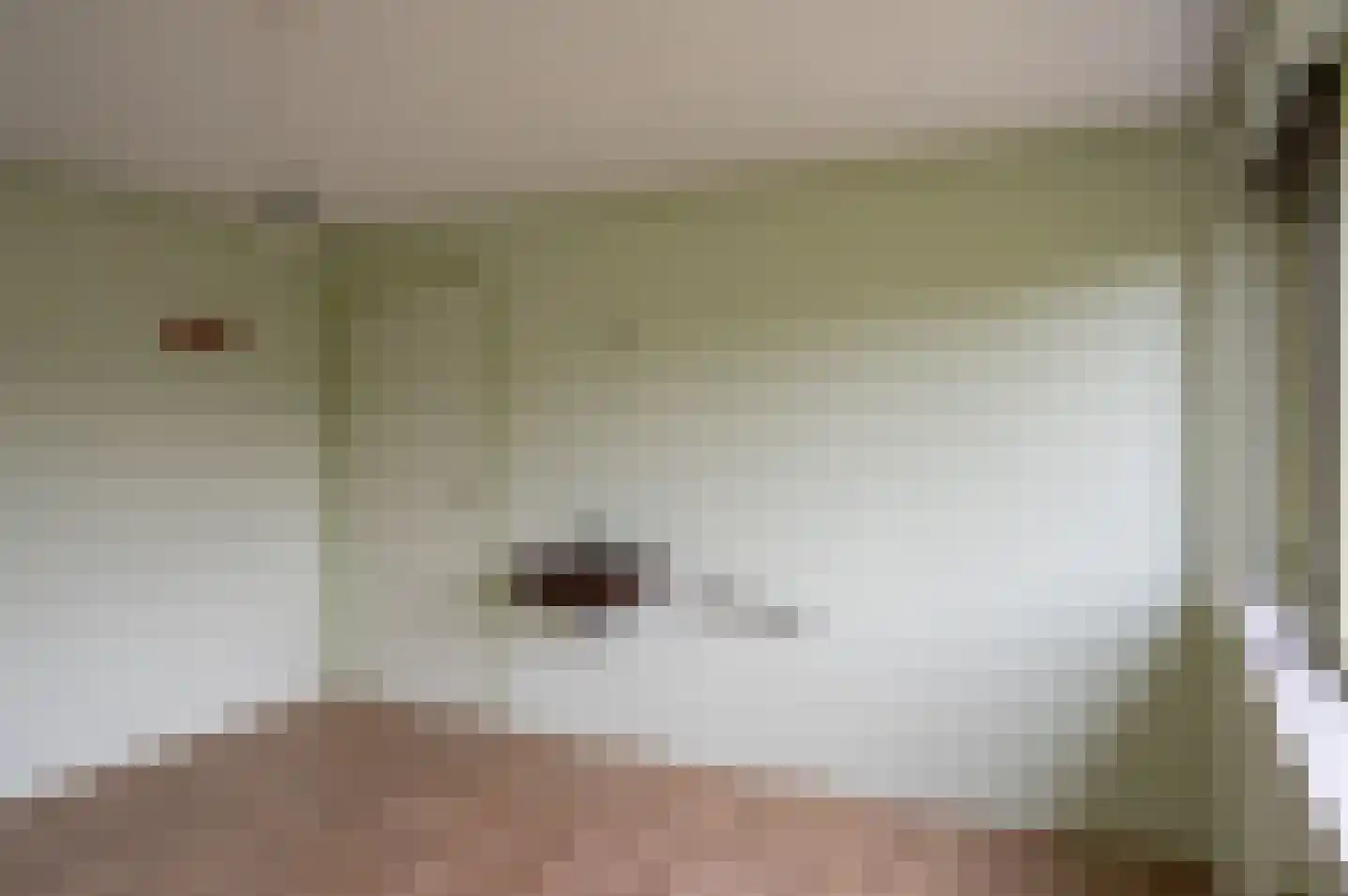 het Jebbink 49 Vorden thumbnail 33