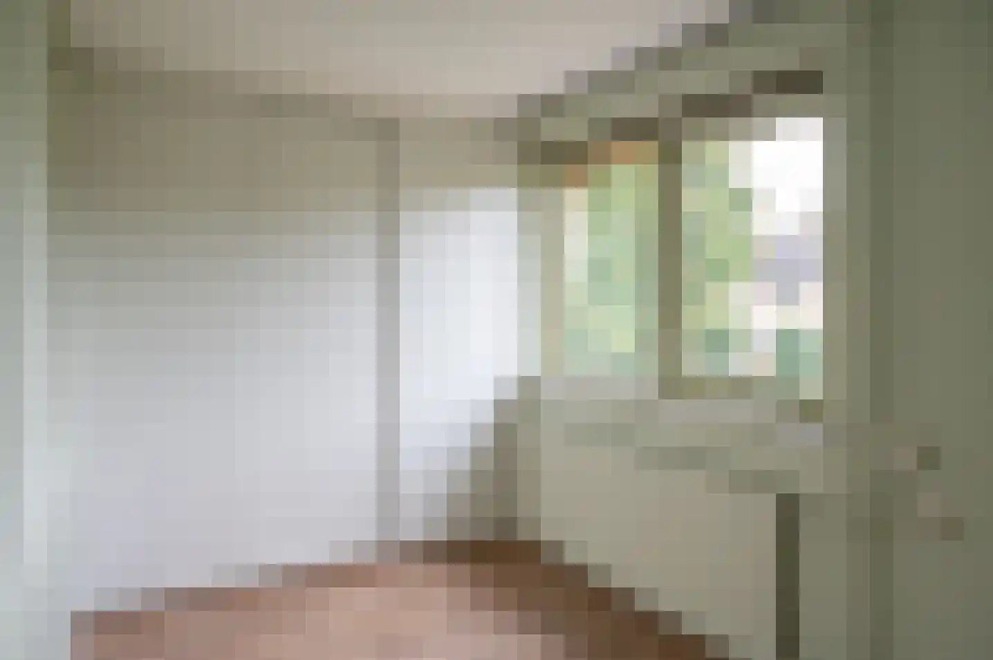 het Jebbink 49 Vorden thumbnail 34