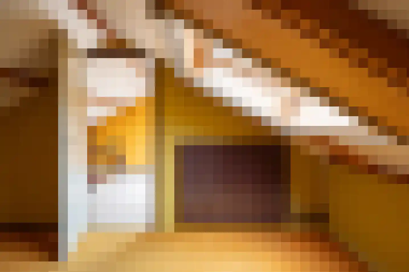 het Jebbink 49 Vorden thumbnail 39