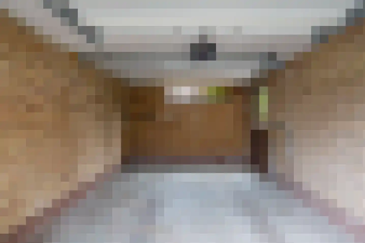 het Jebbink 49 Vorden thumbnail 42