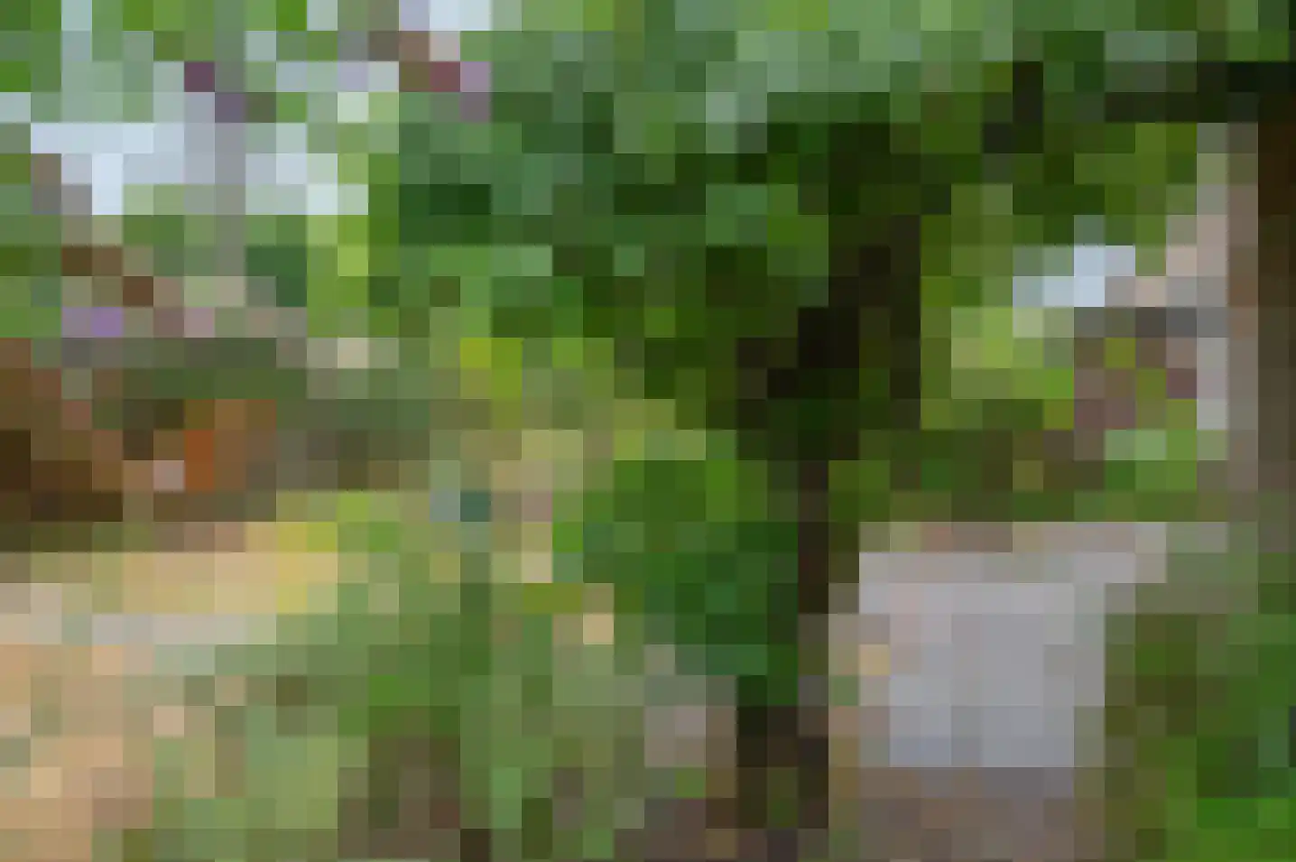 het Jebbink 49 Vorden thumbnail 46