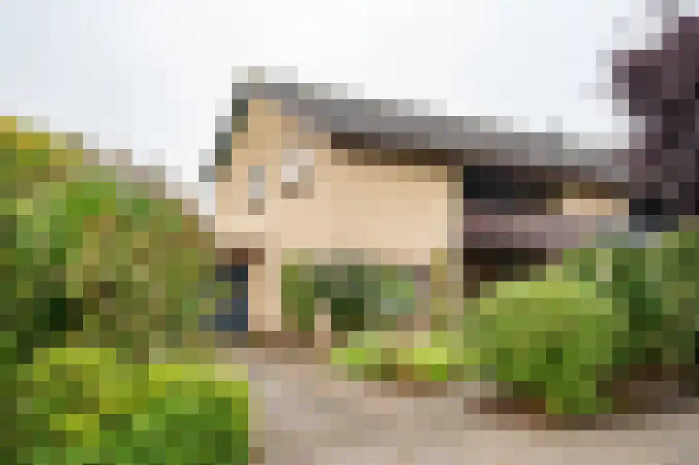 het Jebbink 49 Vorden thumbnail 5