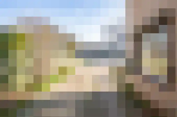 het Jebbink 63 Vorden thumbnail 11
