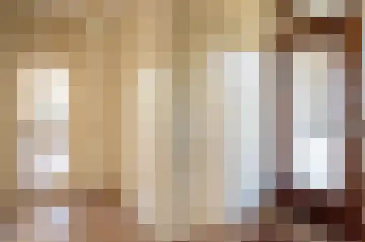 het Jebbink 63 Vorden thumbnail 13