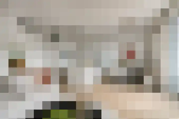 het Jebbink 63 Vorden thumbnail 14
