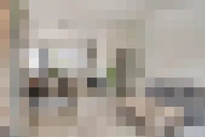 het Jebbink 63 Vorden thumbnail 19