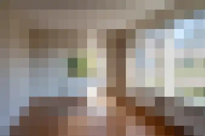 het Jebbink 63 Vorden thumbnail 19