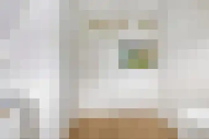 het Jebbink 63 Vorden thumbnail 20