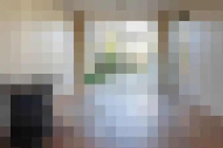 het Jebbink 63 Vorden thumbnail 21