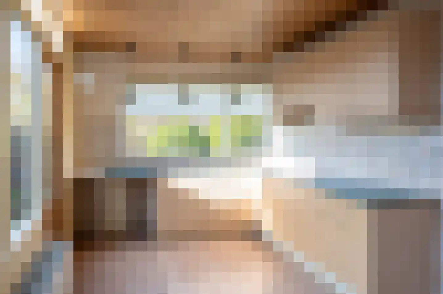 het Jebbink 63 Vorden foto 3