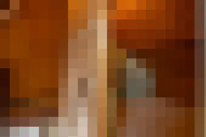 het Jebbink 63 Vorden thumbnail 41