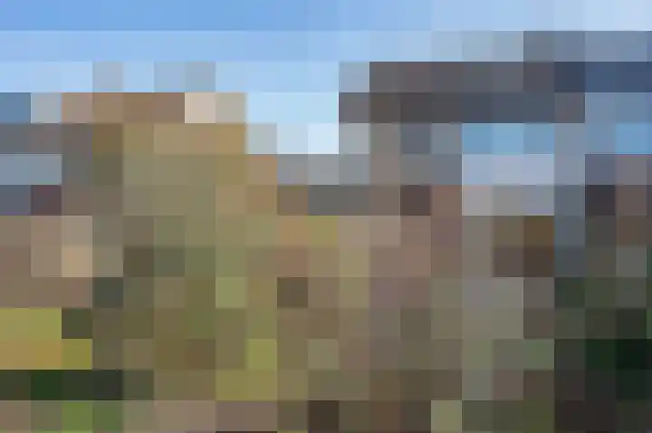het Jebbink 63 Vorden thumbnail 43