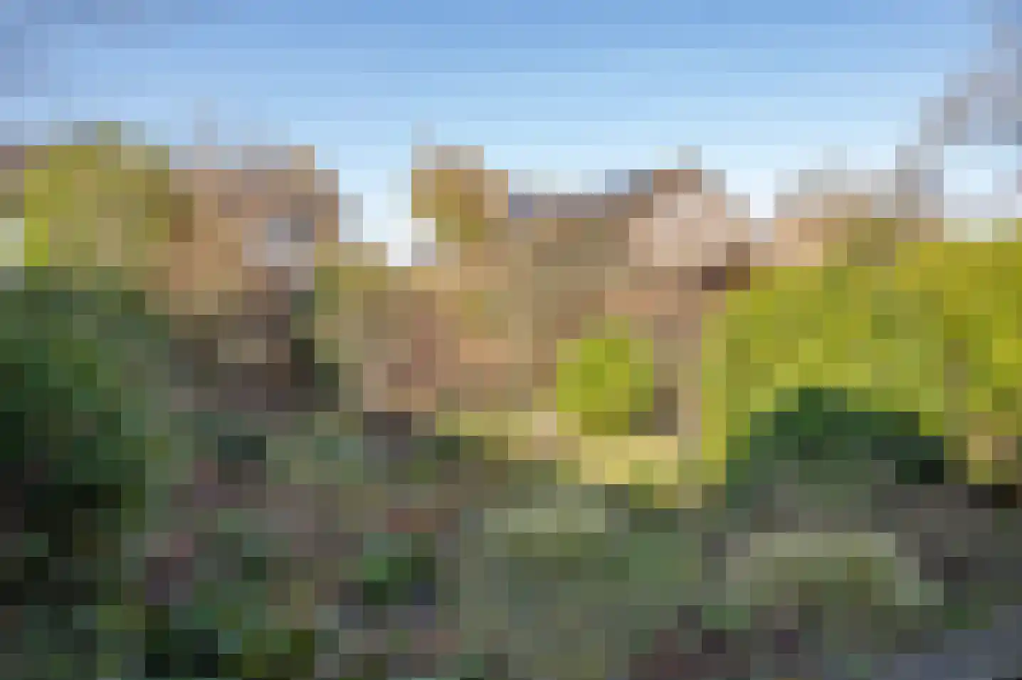 het Jebbink 63 Vorden thumbnail 46