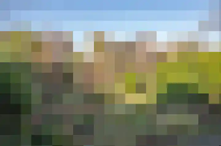 het Jebbink 63 Vorden thumbnail 46