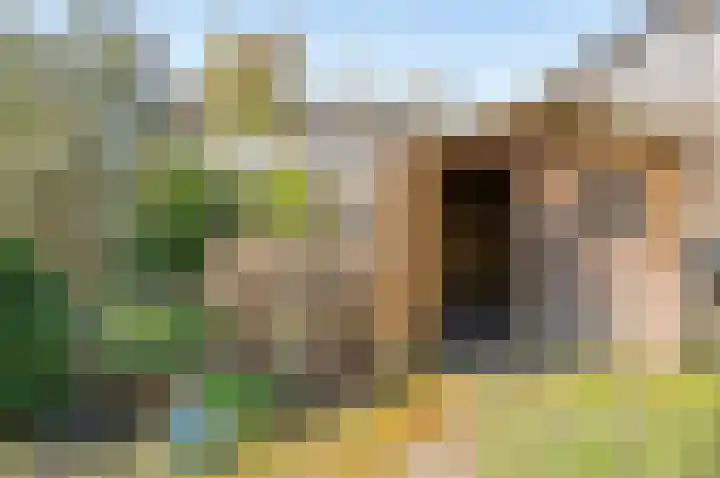 het Jebbink 63 Vorden thumbnail 47