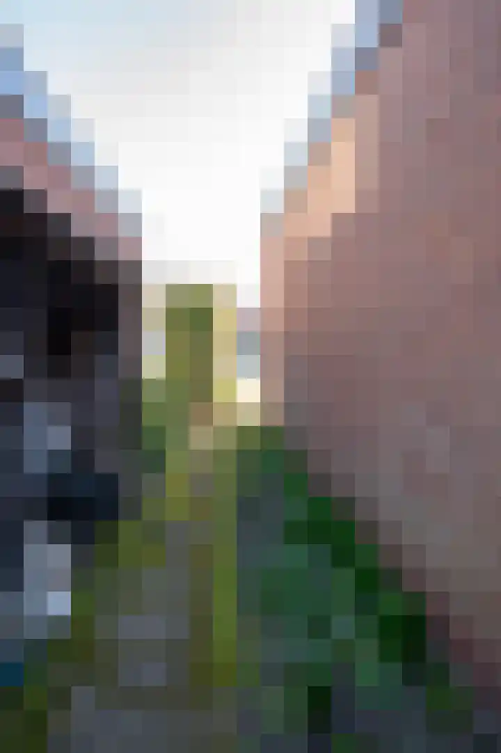 het Jebbink 63 Vorden thumbnail 50