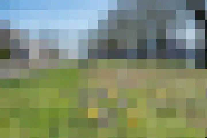 het Jebbink 63 Vorden thumbnail 51