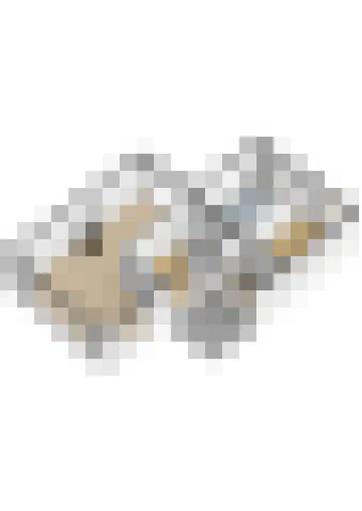 het Jebbink 63 Vorden thumbnail 53