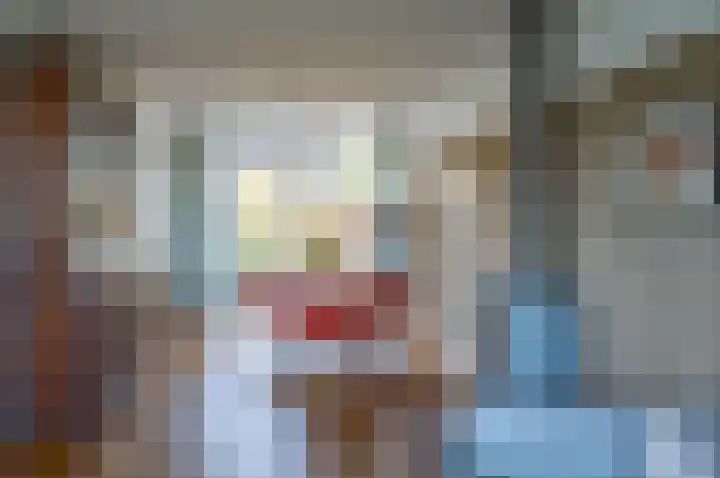 het Jebbink 69 Vorden thumbnail 12