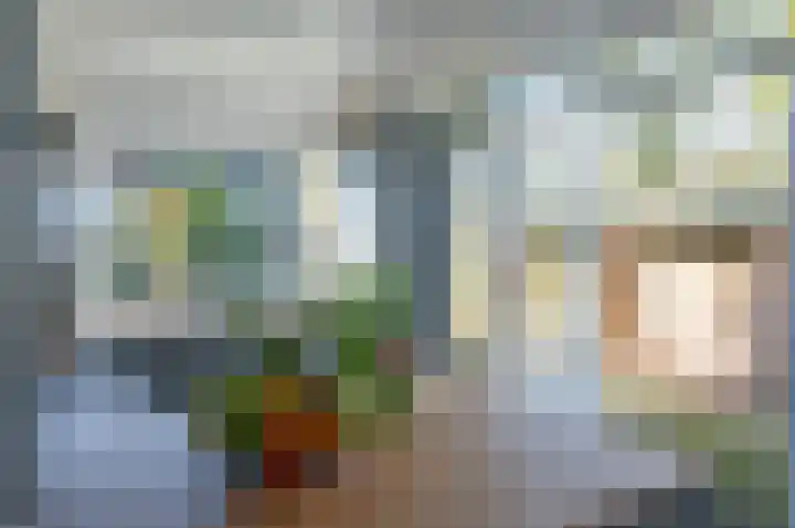 het Jebbink 69 Vorden thumbnail 22