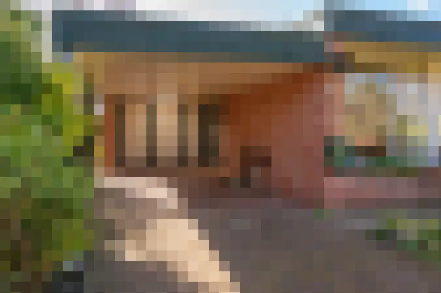 het Jebbink 7 Vorden thumbnail 10