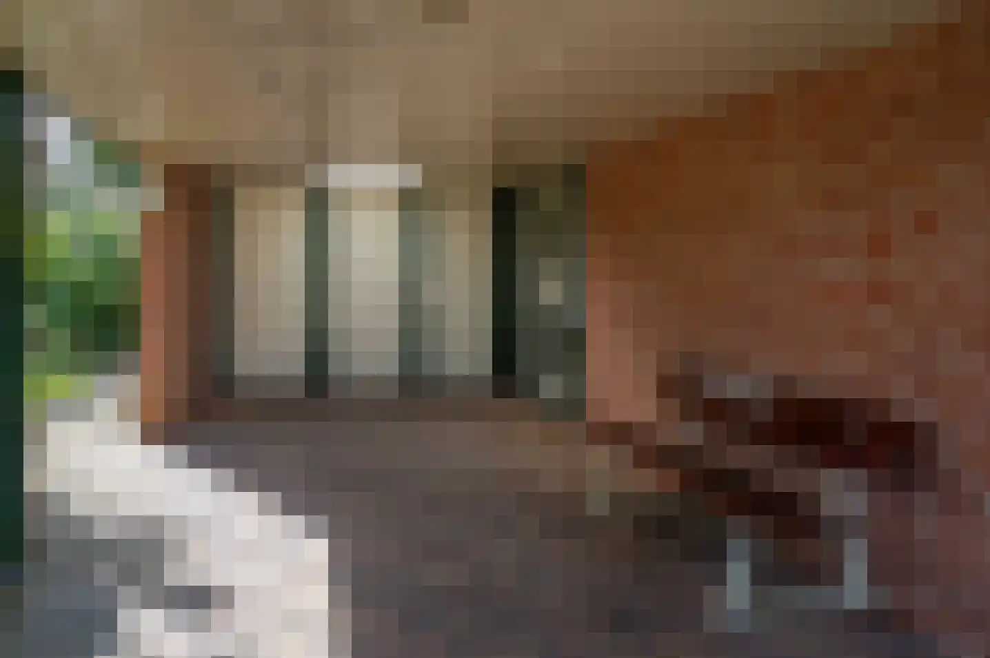 het Jebbink 7 Vorden thumbnail 11