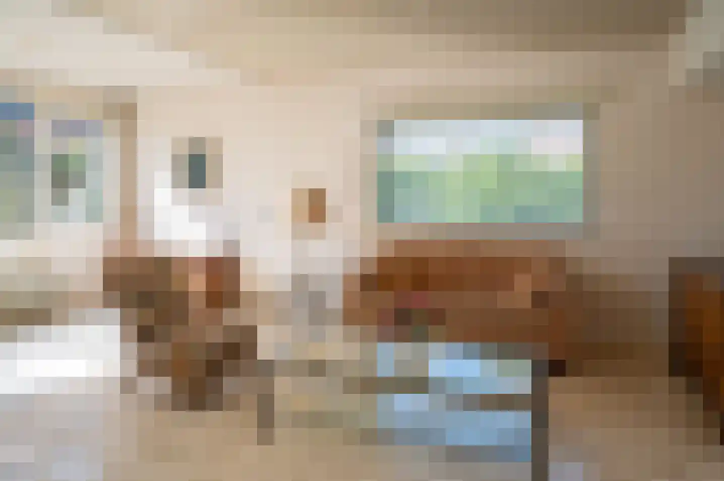 het Jebbink 7 Vorden thumbnail 18
