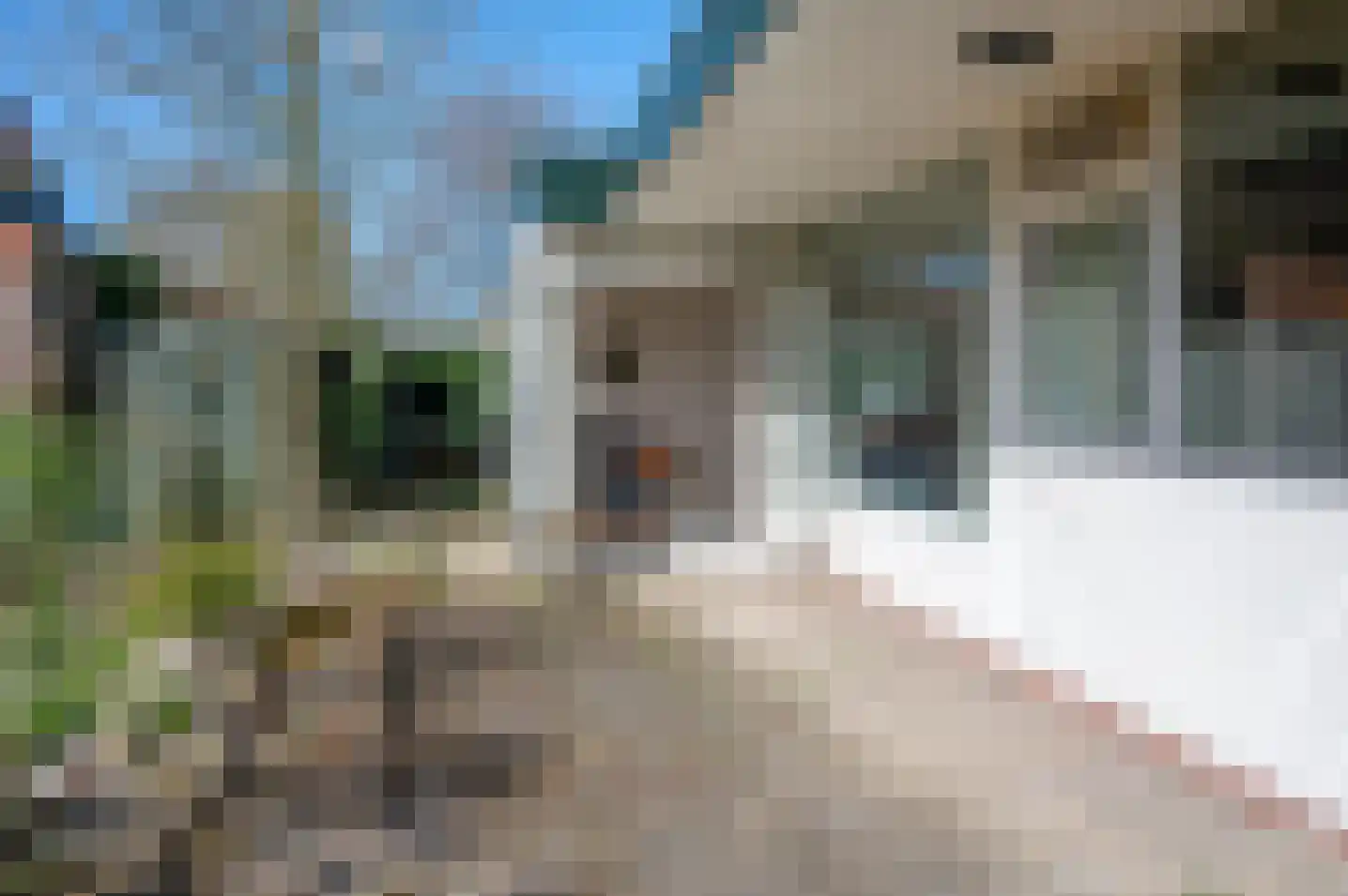 het Jebbink 7 Vorden thumbnail 21