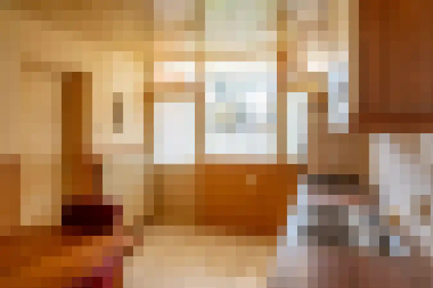 het Jebbink 7 Vorden thumbnail 4