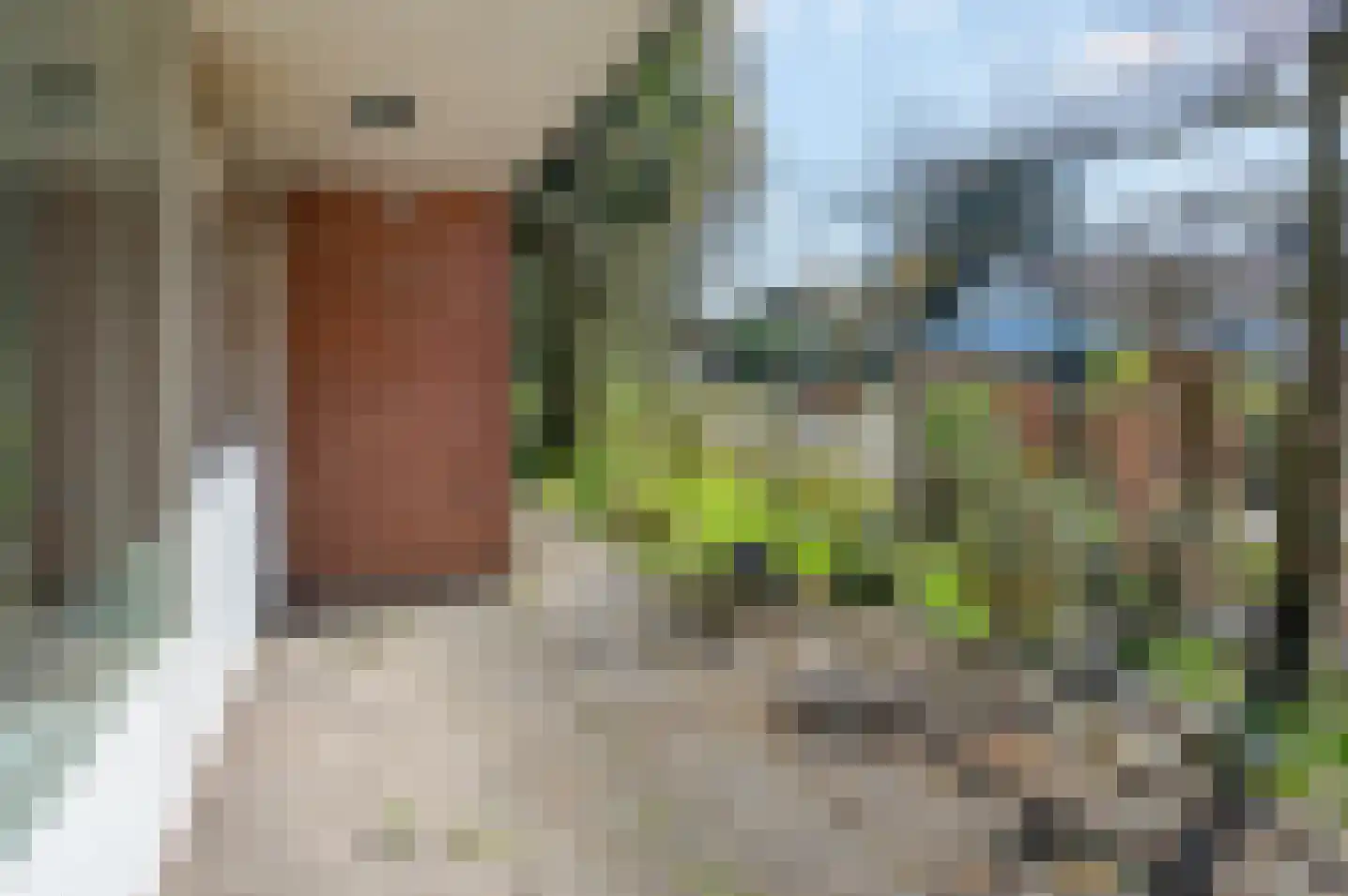 het Jebbink 7 Vorden thumbnail 42