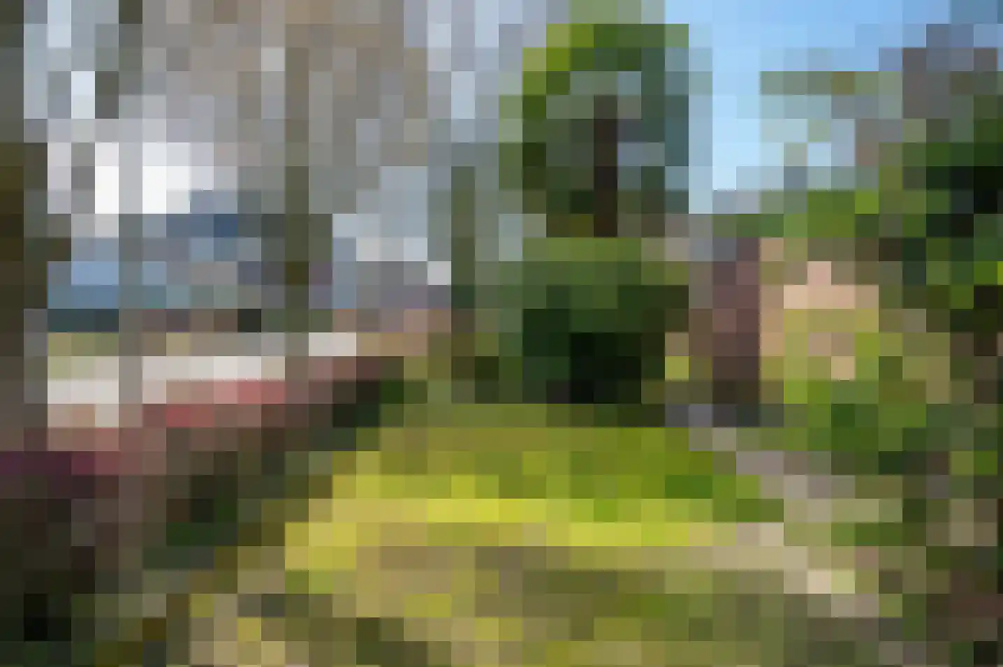 het Jebbink 7 Vorden thumbnail 43