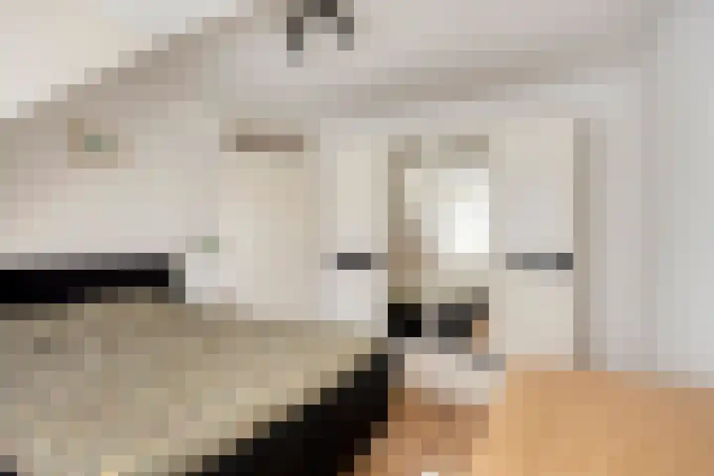 Het Juweel 20 Hilvarenbeek thumbnail 14