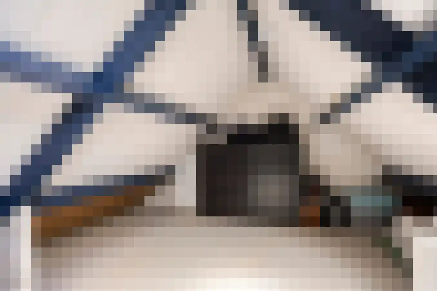 Het Juweel 20 Hilvarenbeek thumbnail 22