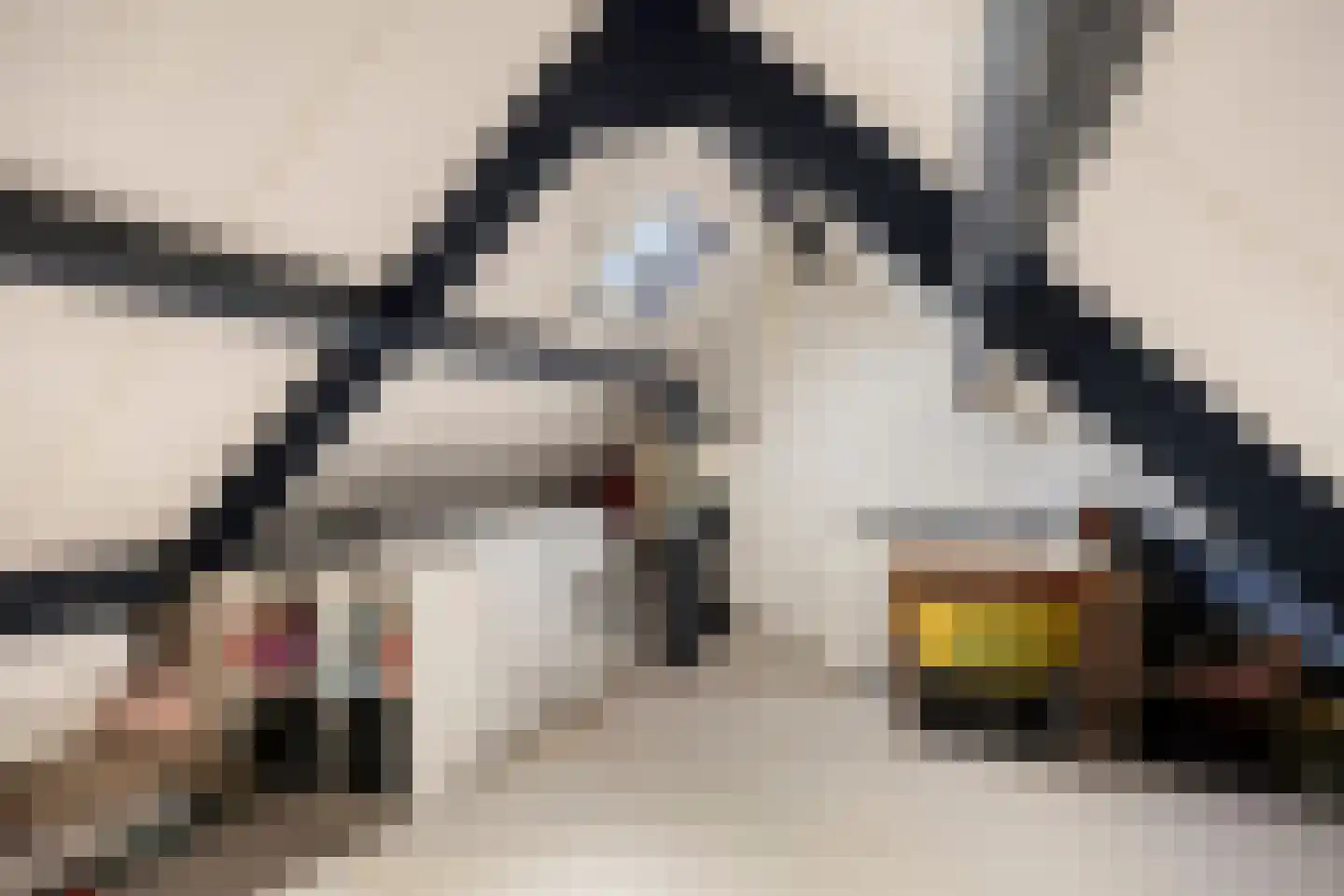 Het Juweel 20 Hilvarenbeek thumbnail 23
