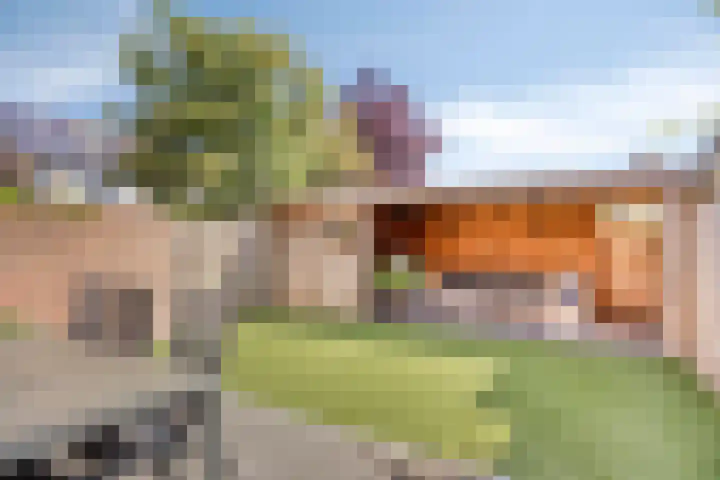 Het Juweel 20 Hilvarenbeek thumbnail 24