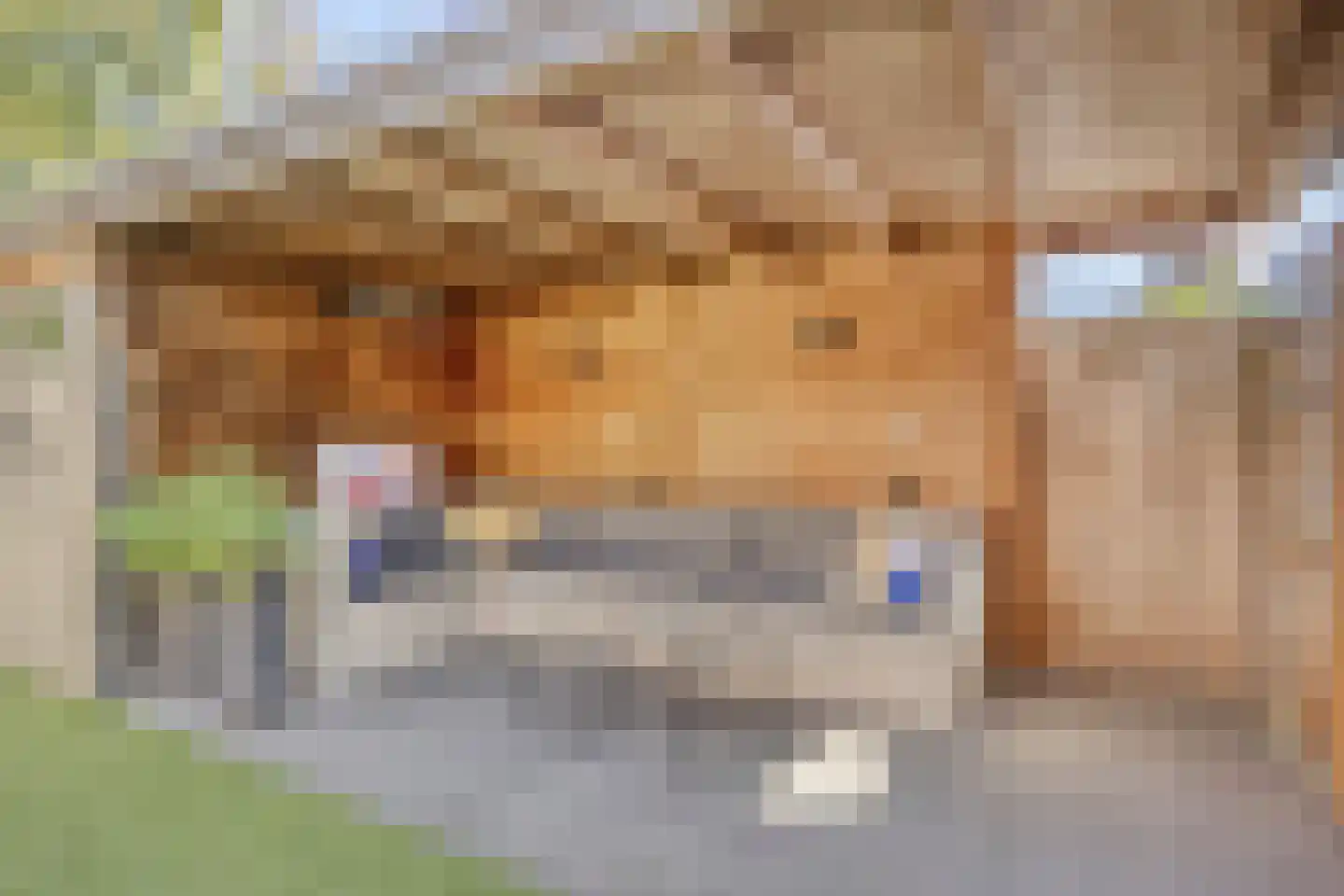 Het Juweel 20 Hilvarenbeek thumbnail 25
