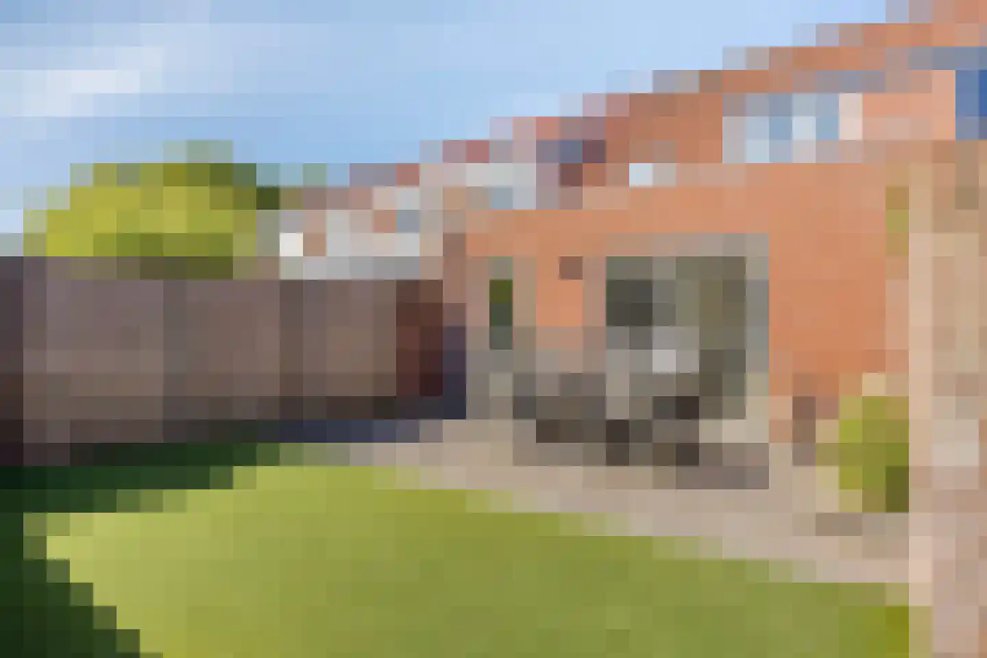 Het Juweel 20 Hilvarenbeek thumbnail 27