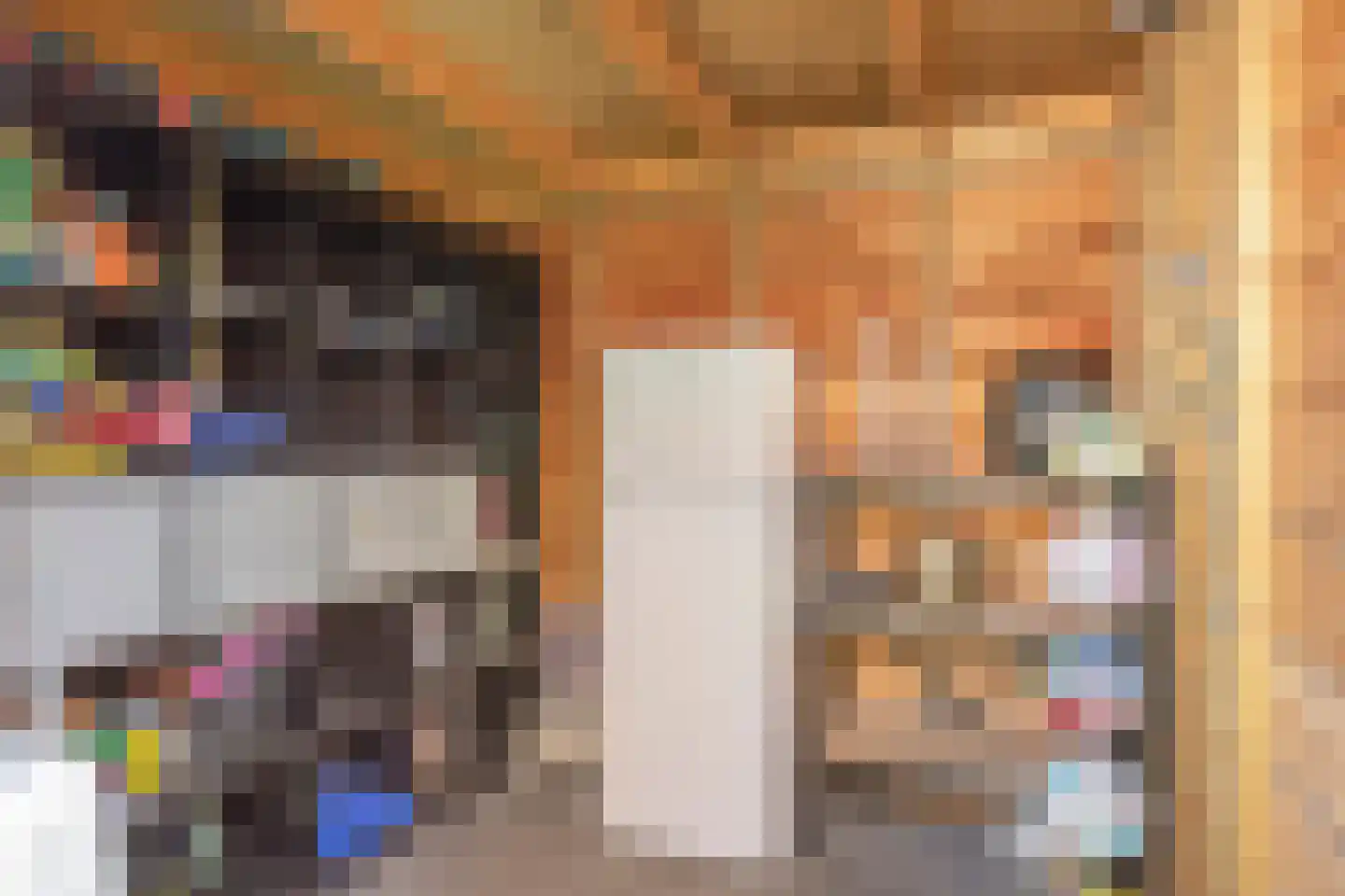 Het Juweel 20 Hilvarenbeek thumbnail 28