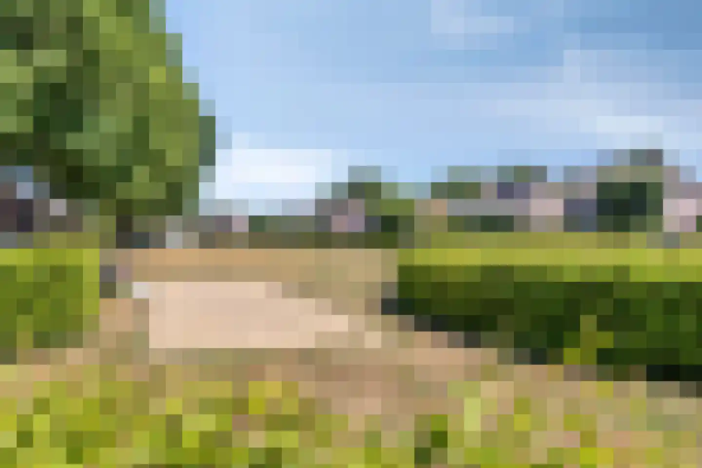 Het Juweel 20 Hilvarenbeek thumbnail 33