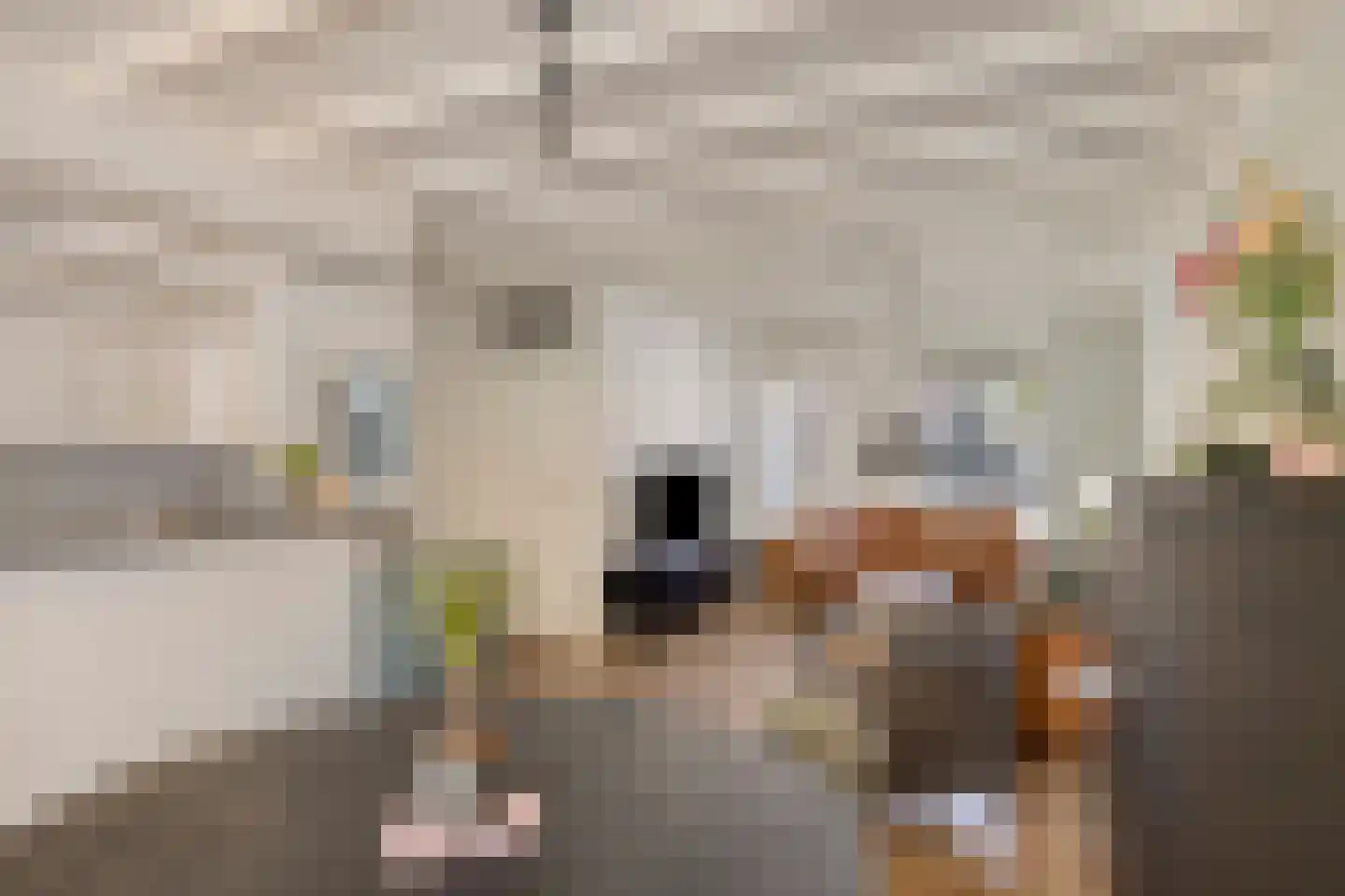 Het Juweel 20 Hilvarenbeek thumbnail 4