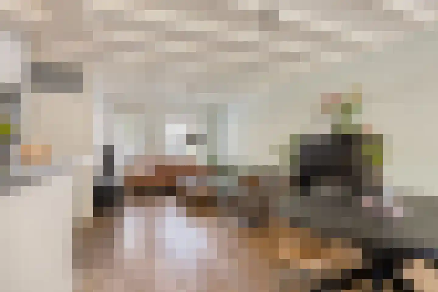 Het Juweel 20 Hilvarenbeek thumbnail 5
