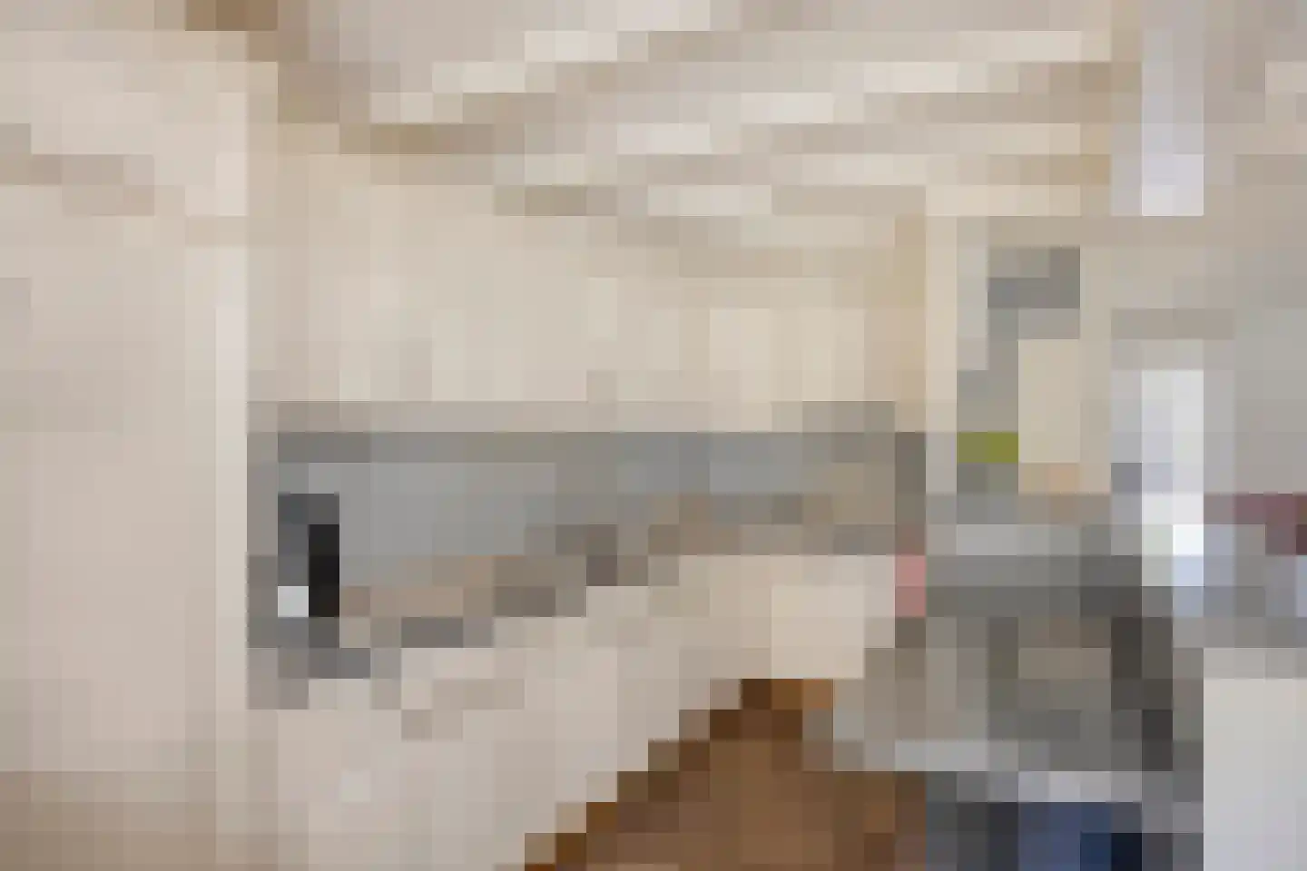 Het Juweel 20 Hilvarenbeek thumbnail 8