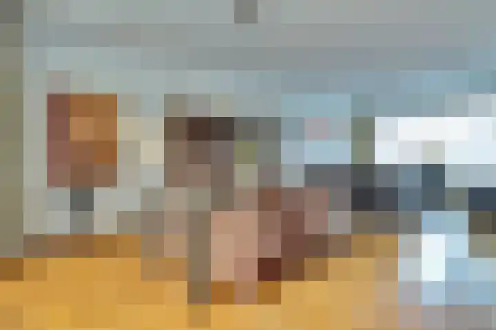 Het Juweel 9 Hilvarenbeek thumbnail 10