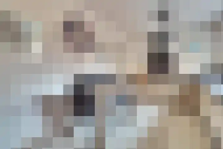 Het Juweel 9 Hilvarenbeek thumbnail 12