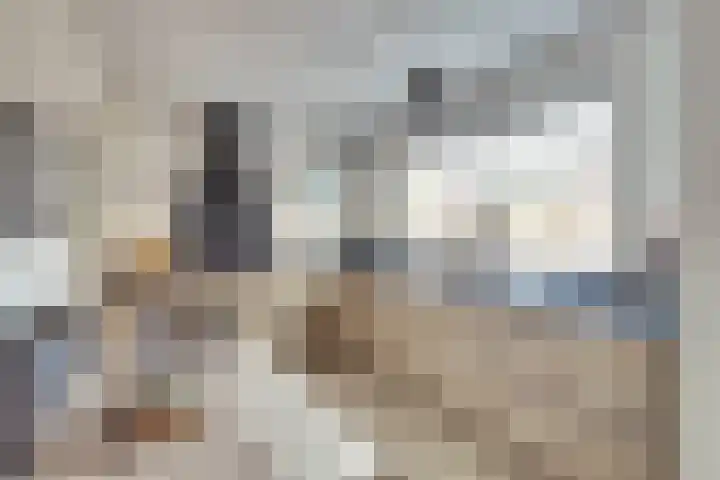 Het Juweel 9 Hilvarenbeek thumbnail 13
