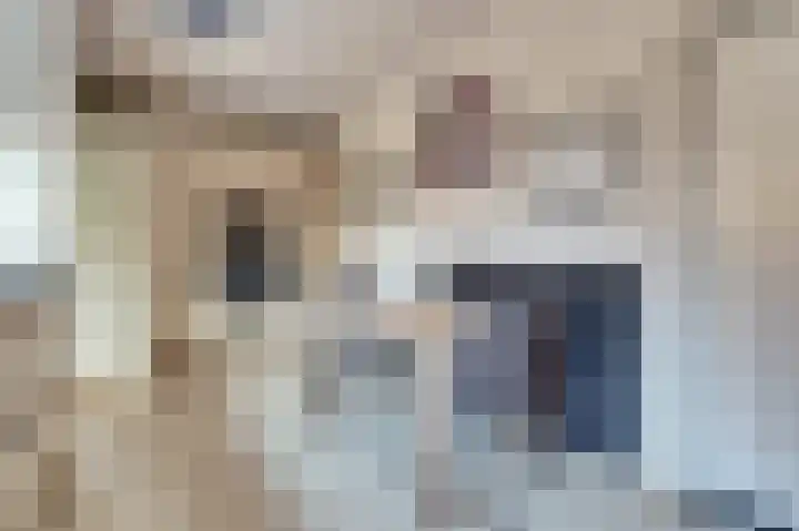 Het Juweel 9 Hilvarenbeek thumbnail 14