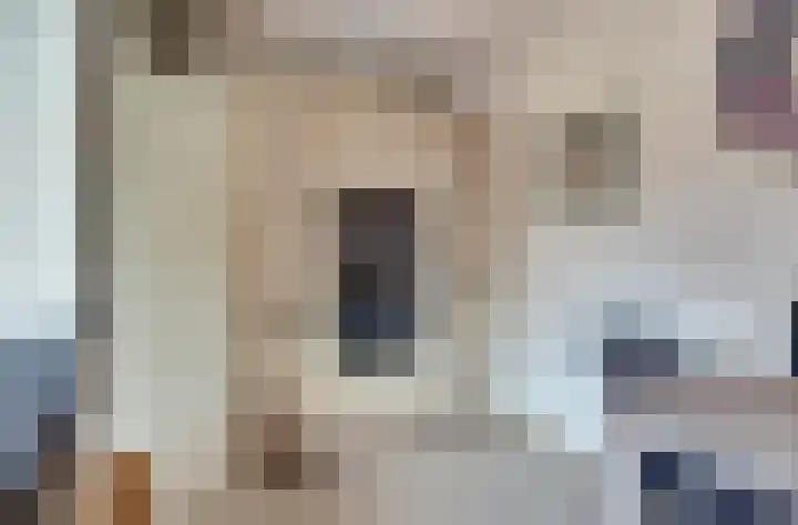 Het Juweel 9 Hilvarenbeek thumbnail 15