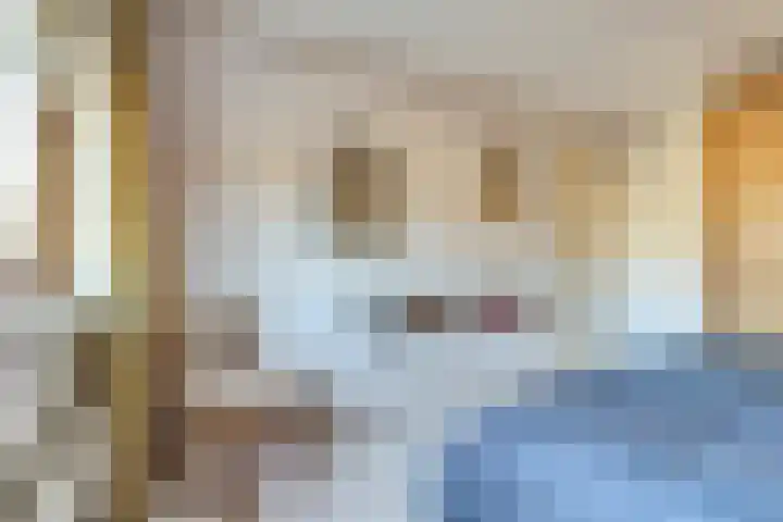 Het Juweel 9 Hilvarenbeek thumbnail 21