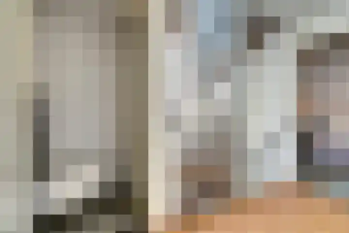 Het Juweel 9 Hilvarenbeek thumbnail 29